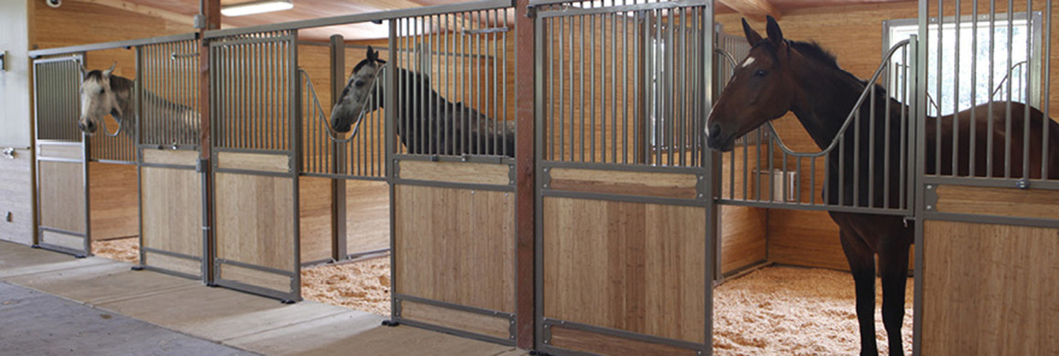 Stall Door Types: Pros and Cons | Equestrian Barns 